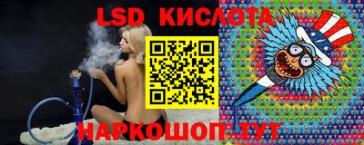 гашик Берёзовский