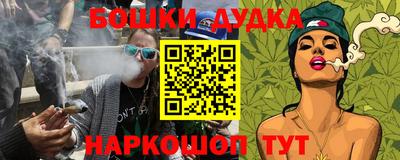 мдпв Бийск
