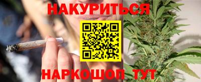 гашик Берёзовский