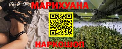 гашик Берёзовский