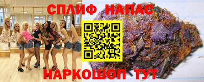 мдпв Бийск