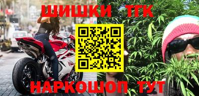 гашик Берёзовский