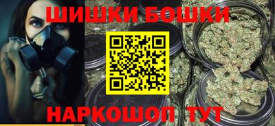 мдпв Бийск
