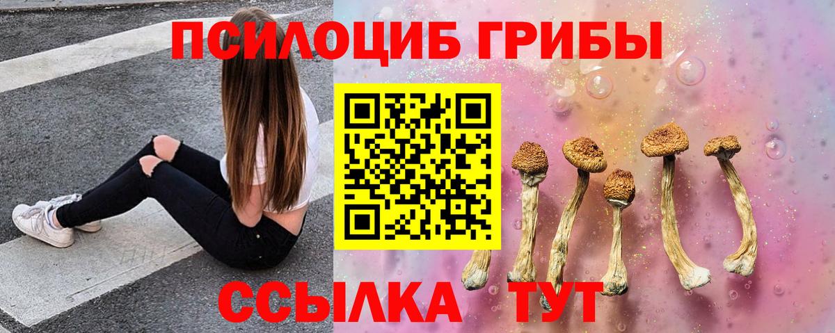 Псилоцибиновые грибы мухоморы  Вход с VPN  Горно-Алтайск 