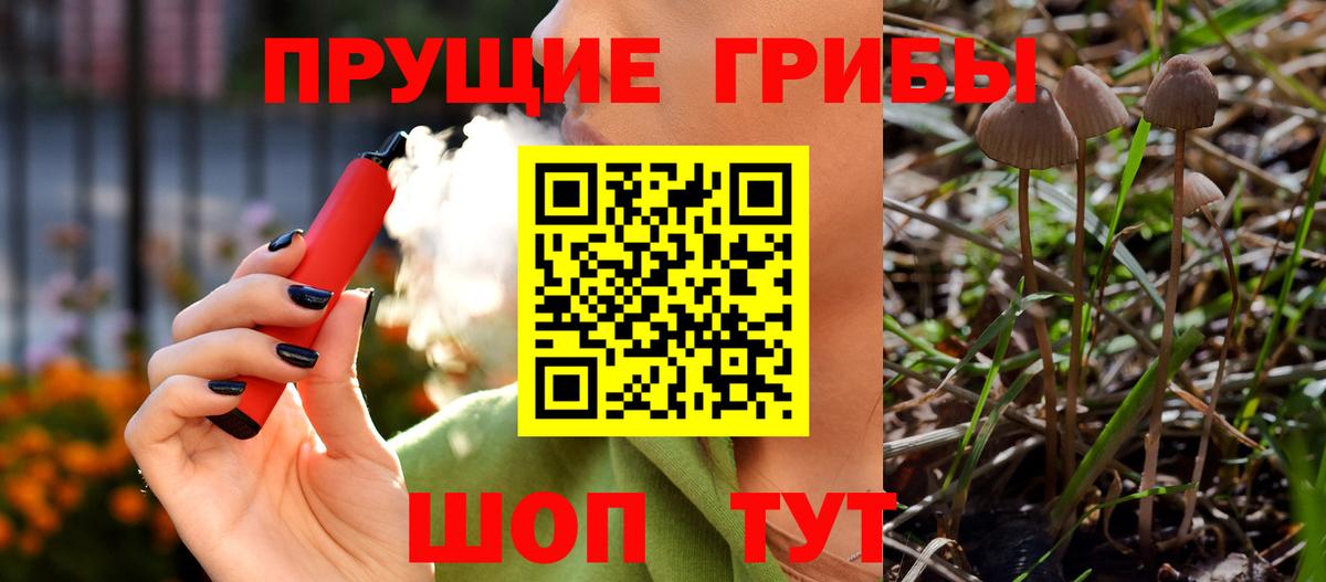 Псилоцибиновые грибы Magic Shrooms Горно-Алтайск